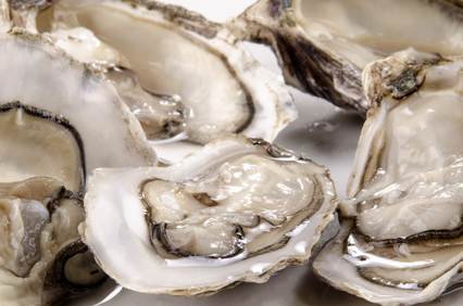 oysters from the west coast of Ireland