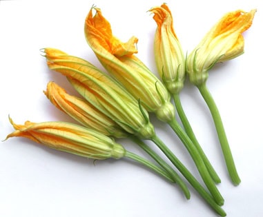 Stuffed Zucchini Flowers