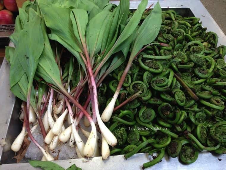 Ramps & Fiddleheads Tiny New York Kitchen