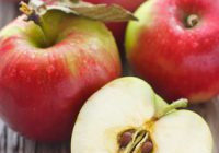Apple Slaw