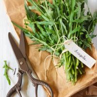 Arugula