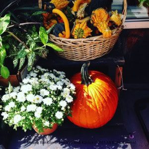 Autumn Afternoon