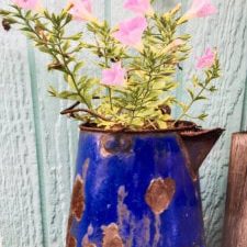 autumn-flowers-1