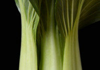 Baby Bok Choy