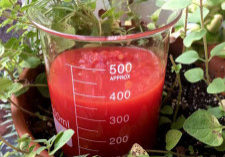 basic-tomato-sauce-1