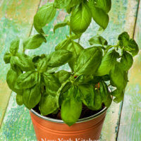 Freezing Basil