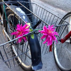 Bicycle With Flowers