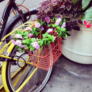 Bike 1