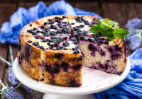 Blueberry Cheesecake