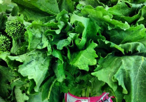 Broccoli Rabe Broccoli Rabe