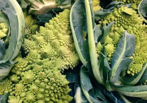Broccoli Romaneschi