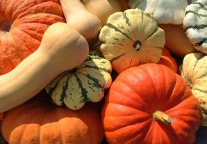 Butternut Squash Soup