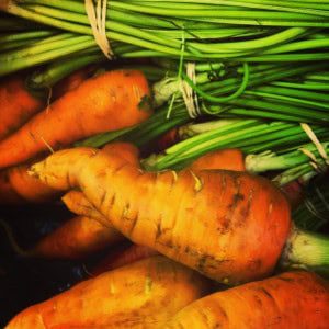 Carrots 2