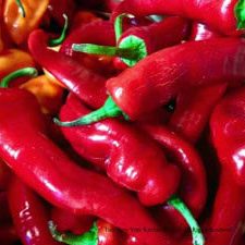 Chili Peppers 5
