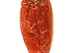 Chipotle Pepper