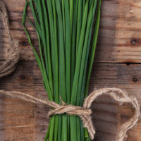 Chives