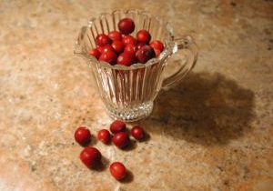 Cranberry Sauce
