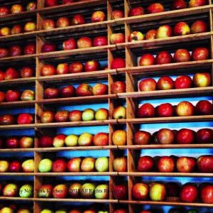 David Bouley's Apple Entrance