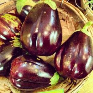 Eggplants 1