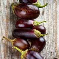 Eggplant Know-How
