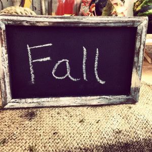 Fall