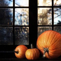 All About Pumpkins ?
