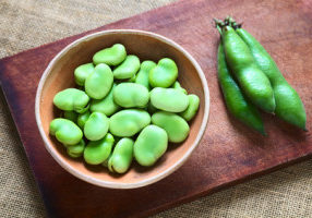 Fresh Fava Bean Purée