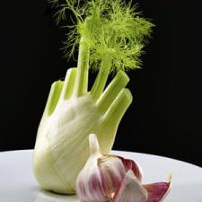 Fennel