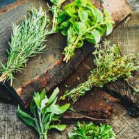 Fresh Herbs