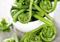 Sautéed Fiddleheads