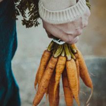Carrots