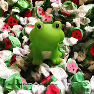 Frog On Taffy