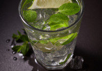 Gin Cooler