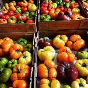 Grand Central Heirloom Tomatoes copy