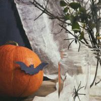 Halloween 2017