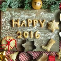Happy 2016