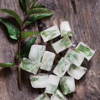 Freezing Herbs