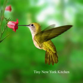 Hummingbirds