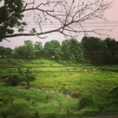 In Between Thunderstorms 1