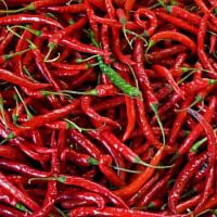 Know Your Chiles