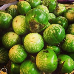 Melons