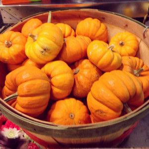 Mini Pumpkins 1