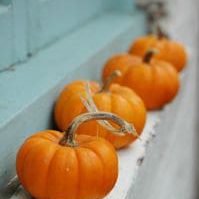 Mini-Pumpkins