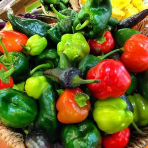 Mixed Peppers