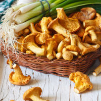 Mushrooms