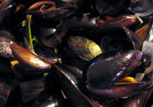 Mussels