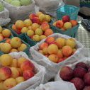 New Canaan Farmer's Market 1