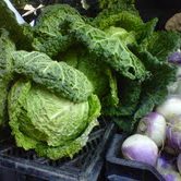 Nov 12, 2011 Union Sq. Farmer's Market 12