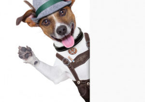 Oktoberfest Roasted Brats With Apples & Butternut Squash