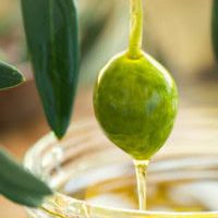 Olive Oil